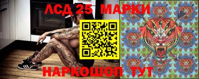 прущие крисы Апшеронск