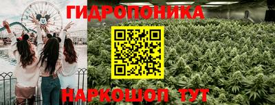 прущие крисы Апшеронск