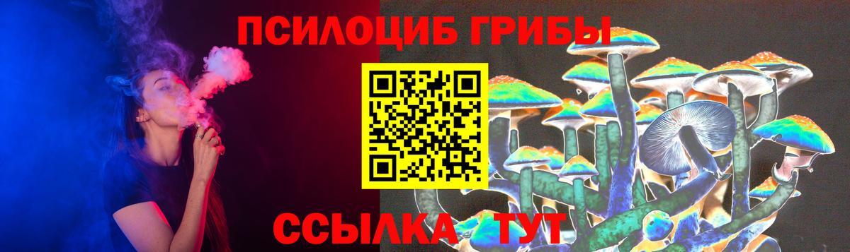 Волжск  Псилоцибиновые грибы ЛСД  где купить наркоту  Псилоцибиновые грибы мицелий  Вход с VPN 